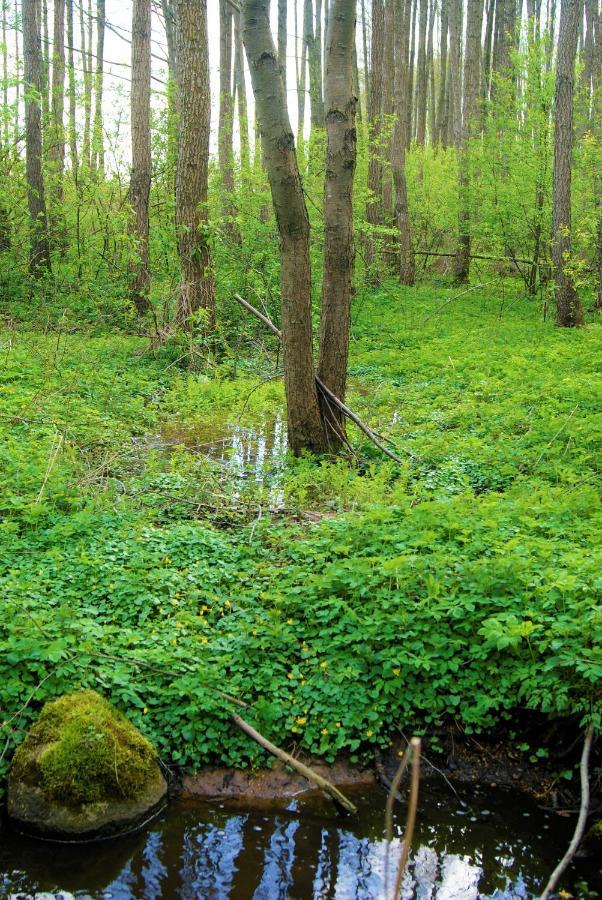 Losiowate Gospodarstwo Agroturystyczne Rybaki  Ngoại thất bức ảnh